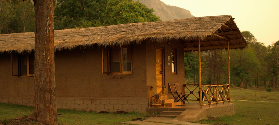 Expect the unexpected, experience being InnTheWild — A Masinagudi Jungle Retreat.
